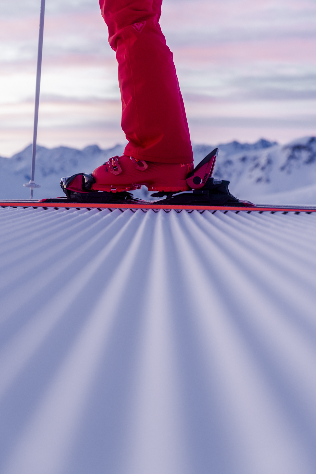 _M3A0562_louisgarnierphoto_VIZION_Lowres_louisgarnierphoto_VIZION_Lowres